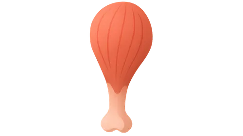 Muscle and Tendon Physiology