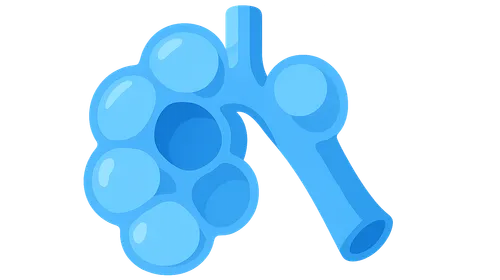 Respiratory System Histology