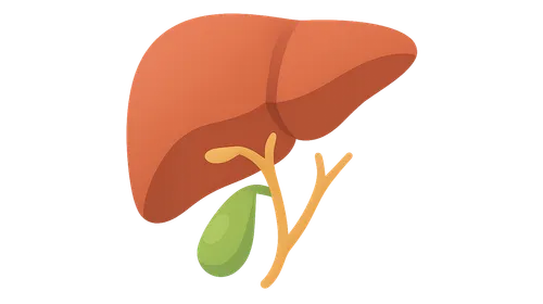 Liver, gallbladder and biliary tree