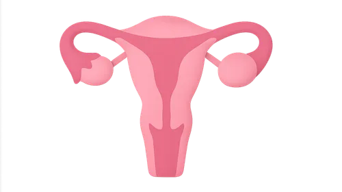 Sex Hormones: Estrogens and Progestins