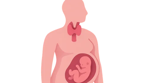 Thyroid Disorders in Pregnancy