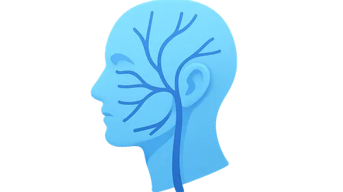 Autonomic innervation of the head and neck