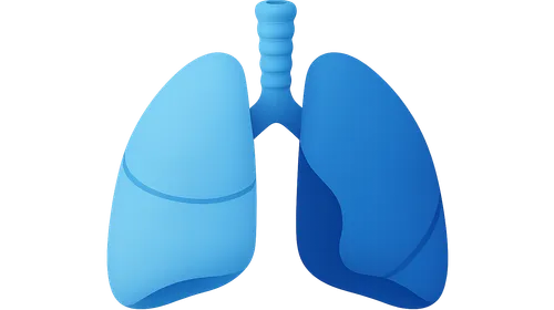 Static vs dynamic compliance