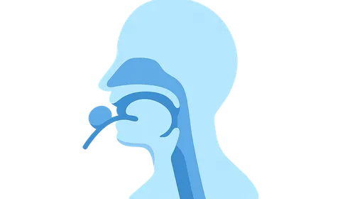 Swallowing assessment and management