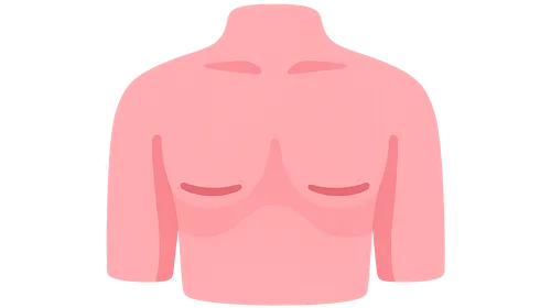 Surgical Options in Gender Affirmation