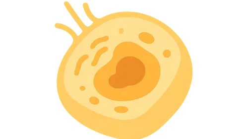 Cellular Responses to Stress