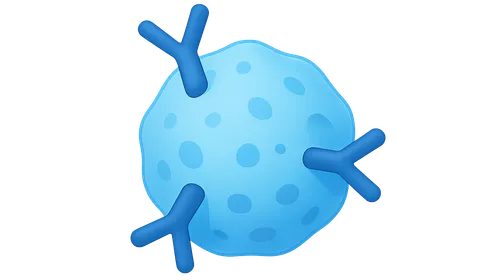 T-cell depleting antibodies