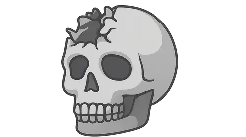 Case Studies of Major Disasters