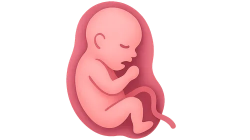 Antenatal Complications Management