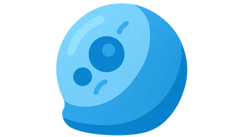 Chlamydia pneumoniae