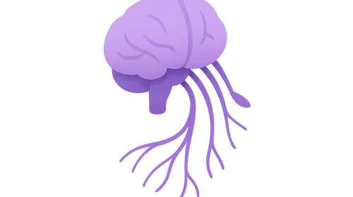 Parasympathetic cranial outflow