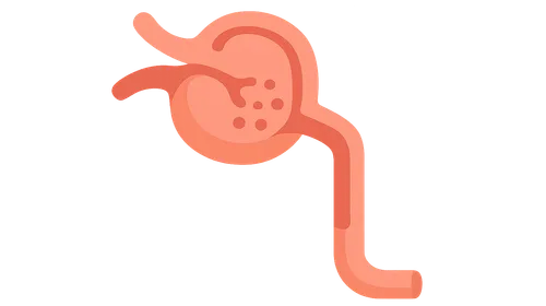 GFR in pathophysiological states