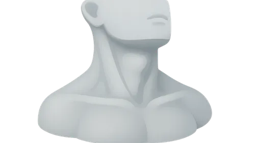 Surface Anatomy of the Neck