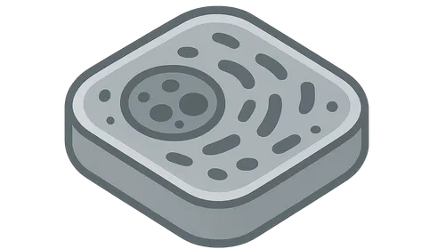 Electron microscopy in histology