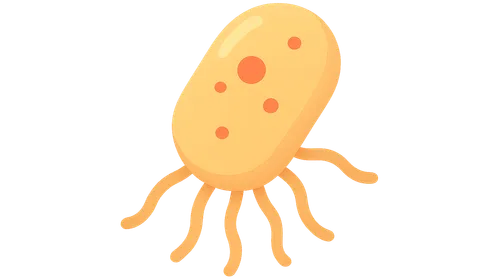 Multi-drug resistant organism transmission