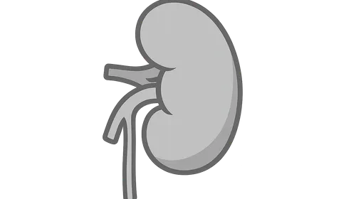 Clinically Significant Anatomical Variations