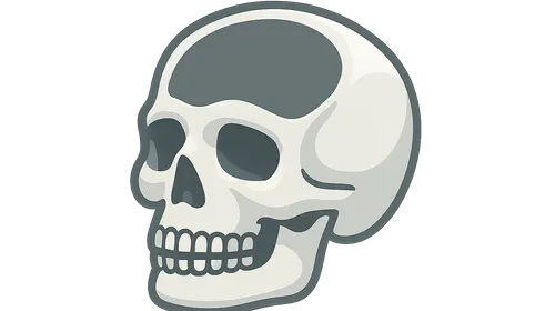 Skull and cranial cavity