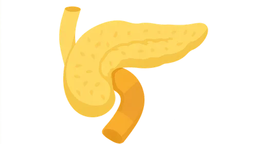 Congenital Anomalies of Pancreas