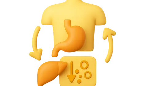 Integrated Metabolic Regulation