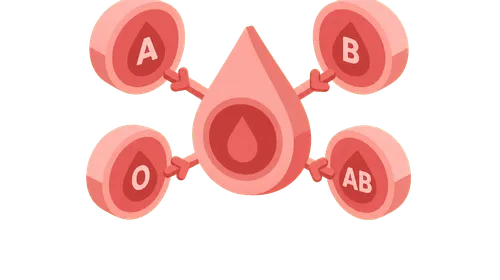 Blood typing and compatibility — NCLEX-RN Study Guide & Notes
