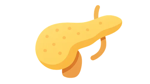 Pancreatic Hormones and Glucose Metabolism