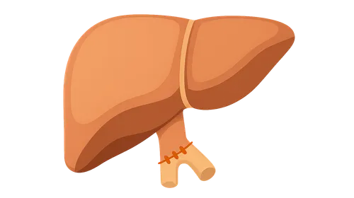 Liver transplantation