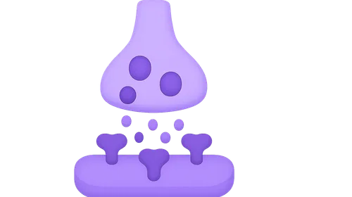 Neurotransmitters and Receptors