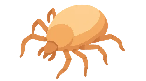 Ectoparasites and vector-borne diseases