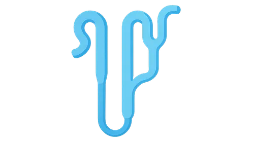 Loop of Henle function