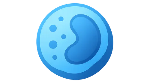 Immunological Memory and Tolerance