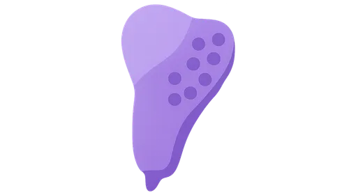 Medulla oblongata nuclei