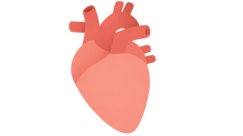 Starling's law of the heart