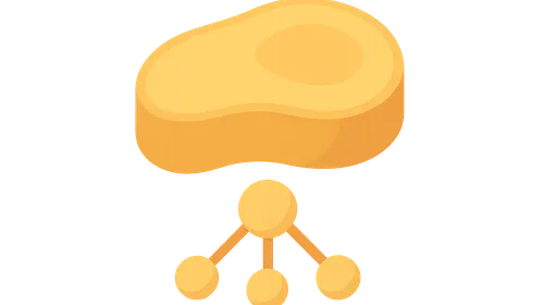 Protein Quality and Nitrogen Balance