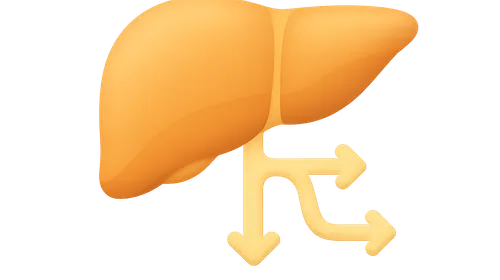 Phase II Conjugation Reactions