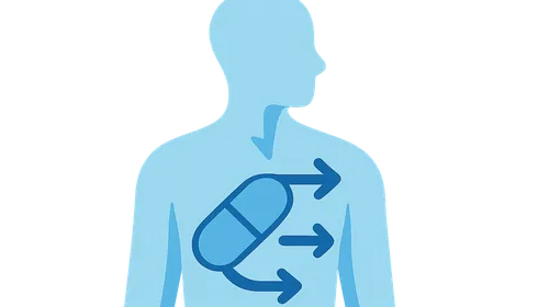 Pharmacokinetics (ADME principles)
