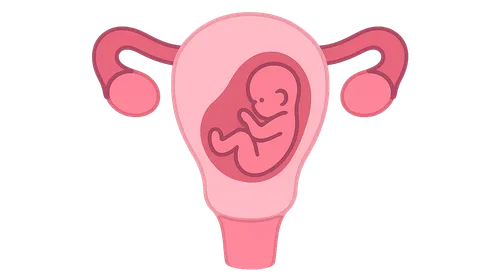 Prior preterm birth management