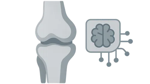 AI Applications in Musculoskeletal Imaging