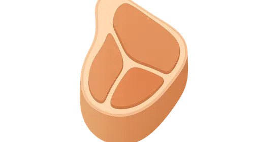 Lower limb fascial compartments