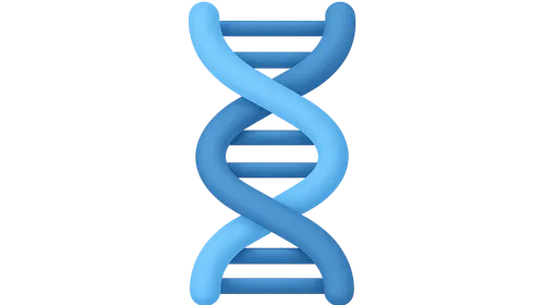 Nucleic Acid Biochemistry