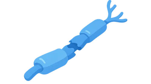 Demyelinating Diseases