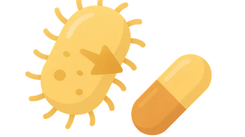 Mechanisms of Antimicrobial Resistance