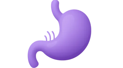 Diffuse Neuroendocrine System