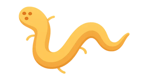 Parasitic Infections