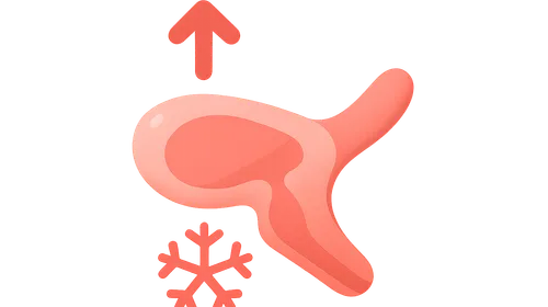 Hypothalamic thermoregulation