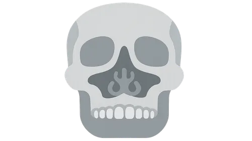 Anterior Skull Base Approaches