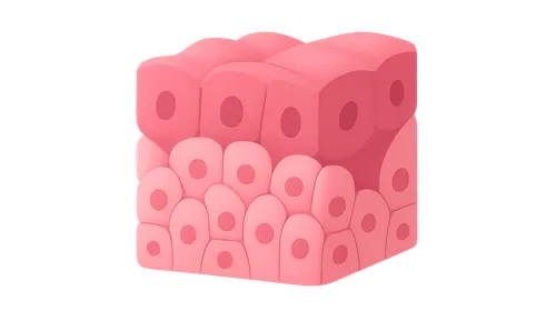 Hyperplasia and metaplasia