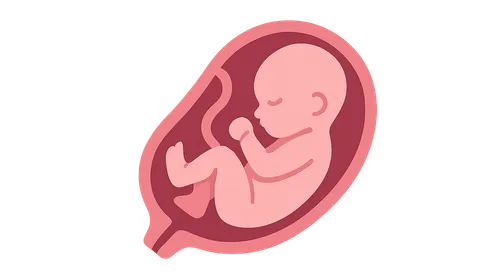 Fetal Growth Assessment