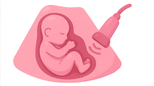 Ultrasound markers and anomaly screening
