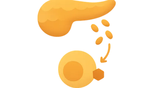 Insulin secretion and action