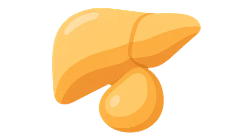 Ascites diagnosis and management